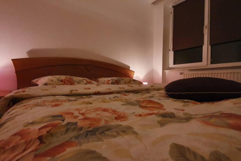 Titian'S Cozy Apartment Sibiu Ngoại thất bức ảnh